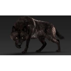 Black Timber Wolf (Fur) Rigged model